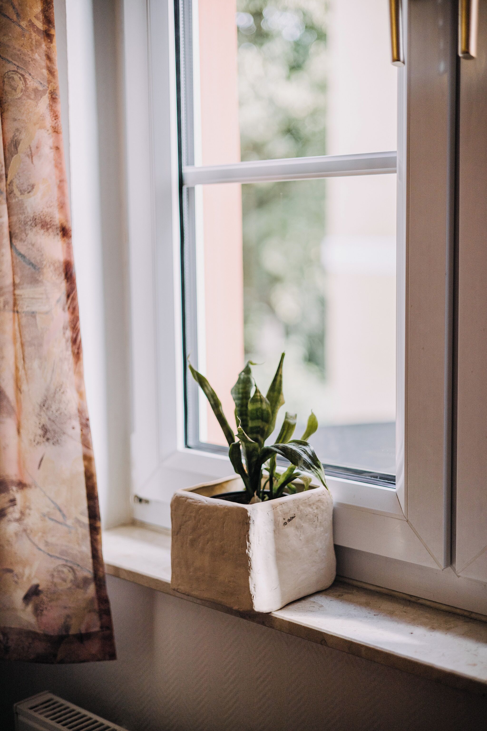 A window with a potted plant on the sill.