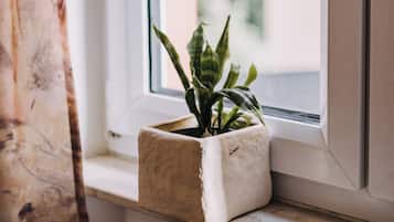 A window with a potted plant on the sill.