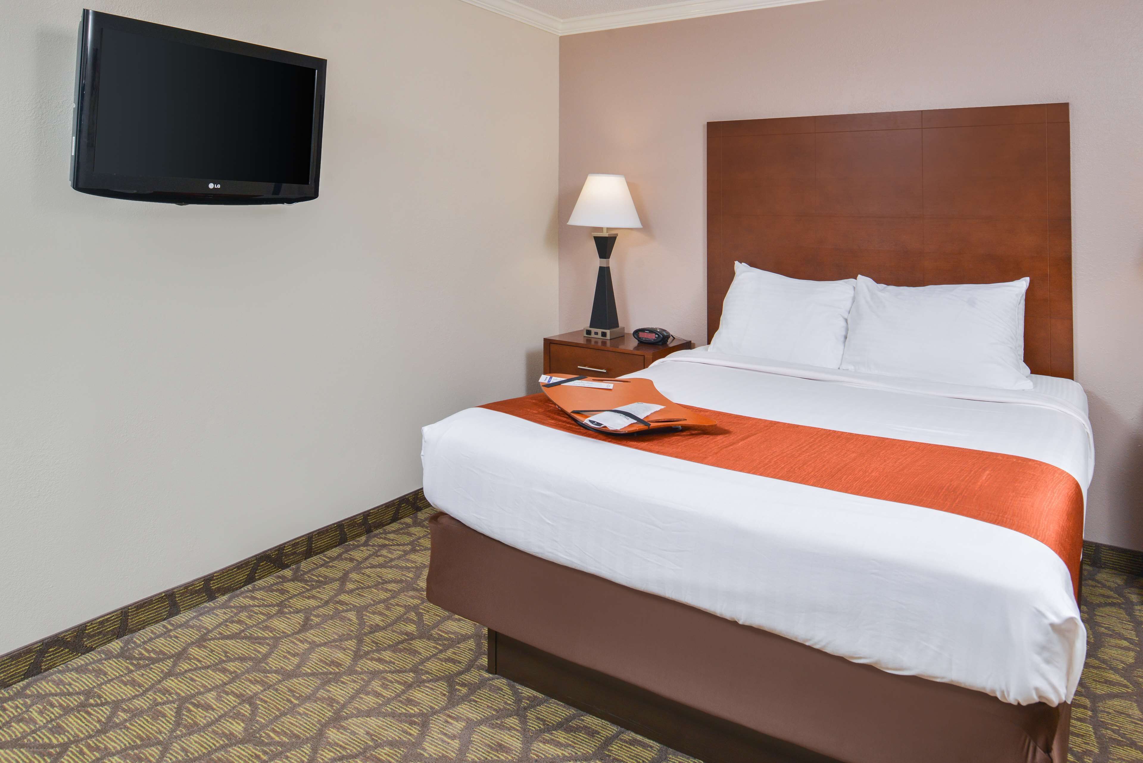 A hotel room with a bed, a TV mounted on the wall, a nightstand with a lamp, and a patterned carpet.