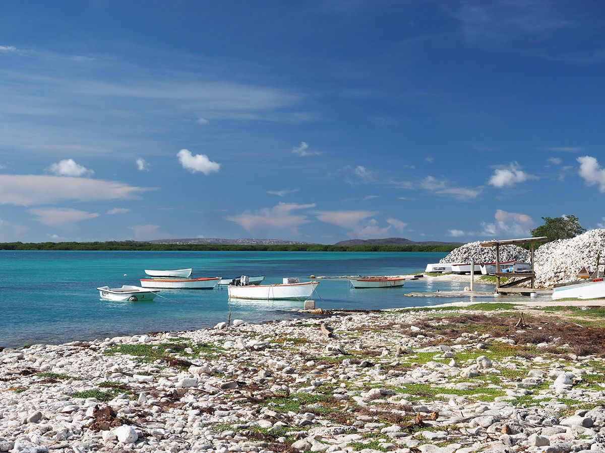 A rocky beach with several boats anchored in calm turquoise waters.
