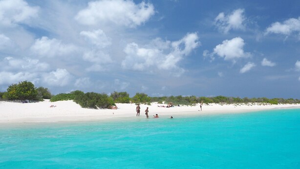 Una playa con agua turquesa cristalina, arena blanca y vegetación dispersa.