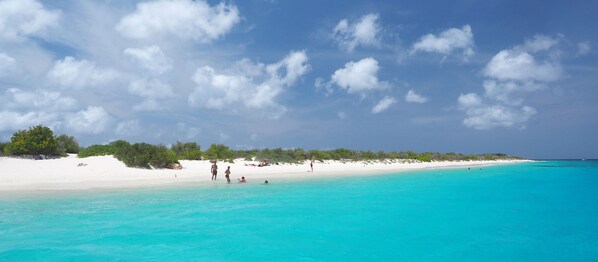 Beach nearby, white sand, scuba diving, snorkeling