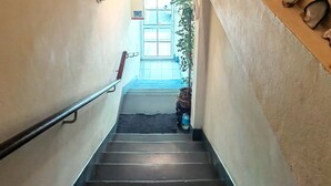 A staircase with a poster of a monkey saying "Hi Gorgeous!" and a shelf with seashells and a potted plant. - Lavender Lodge (Kota Kinabalu)
