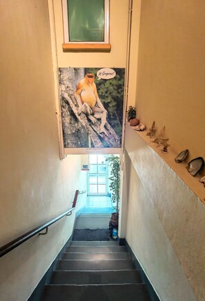 Terrace/patio - Lavender Lodge (Kota Kinabalu)