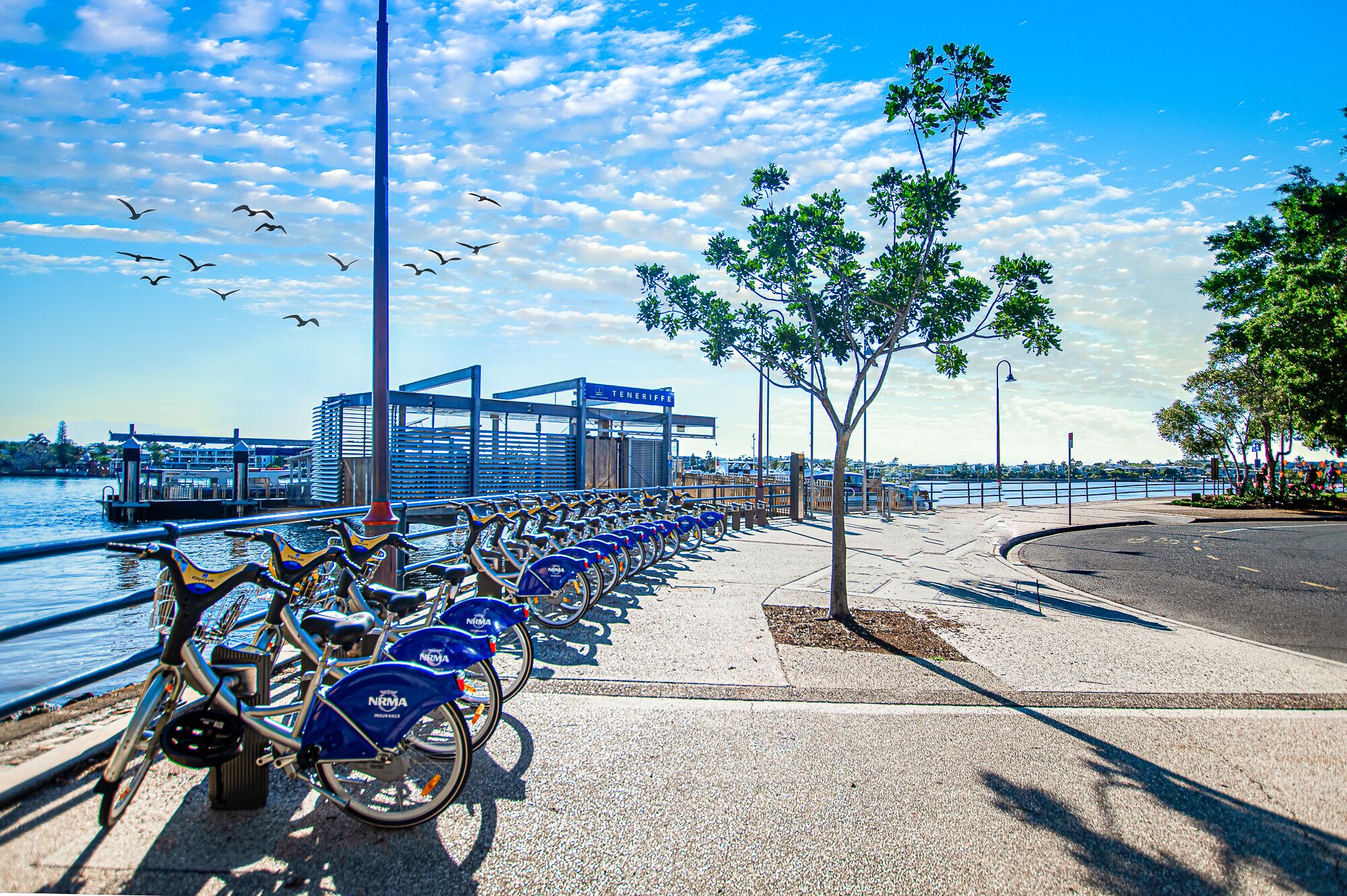 En cykeluthyrningsstation vid vattnet med en rad cyklar, en gångväg och utsikt över vattnet och en bro i bakgrunden.