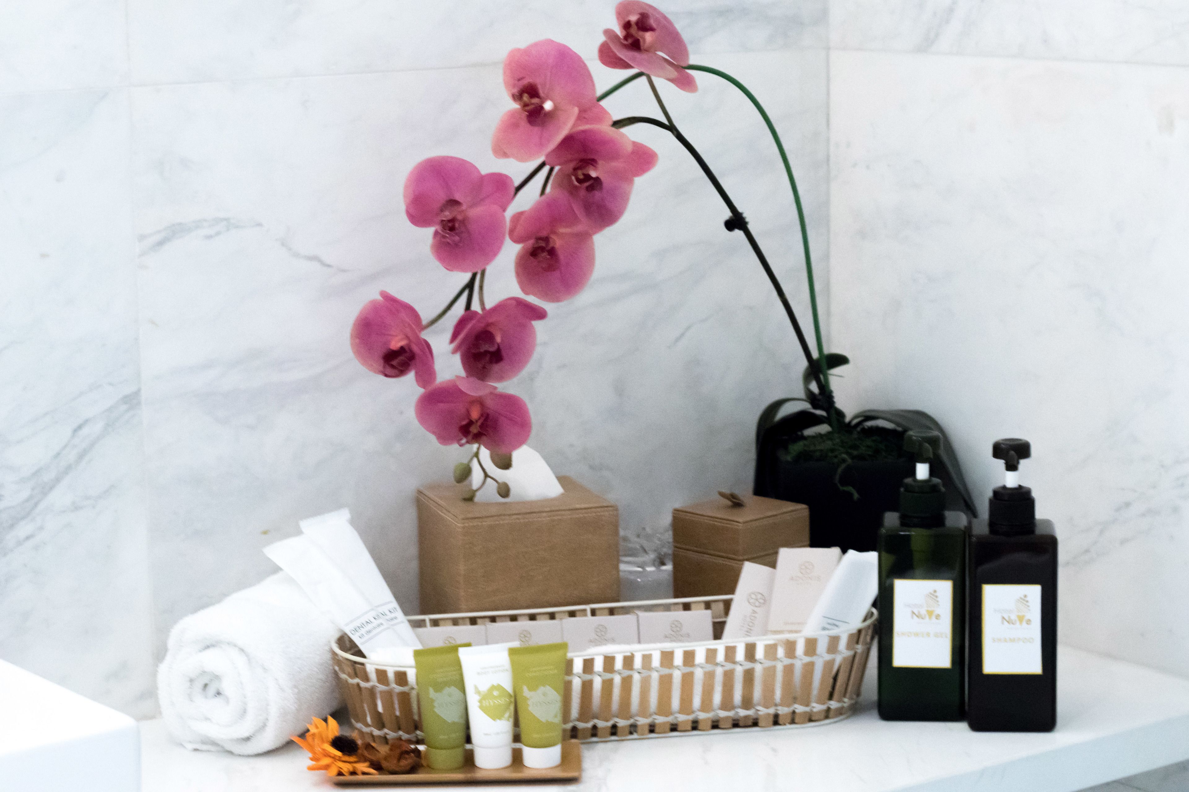 Photo - Hotel NuVe Heritage