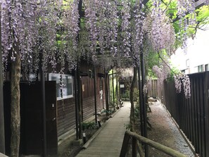 Hallway - Hodakaso Yamano Hotel (Takayama)