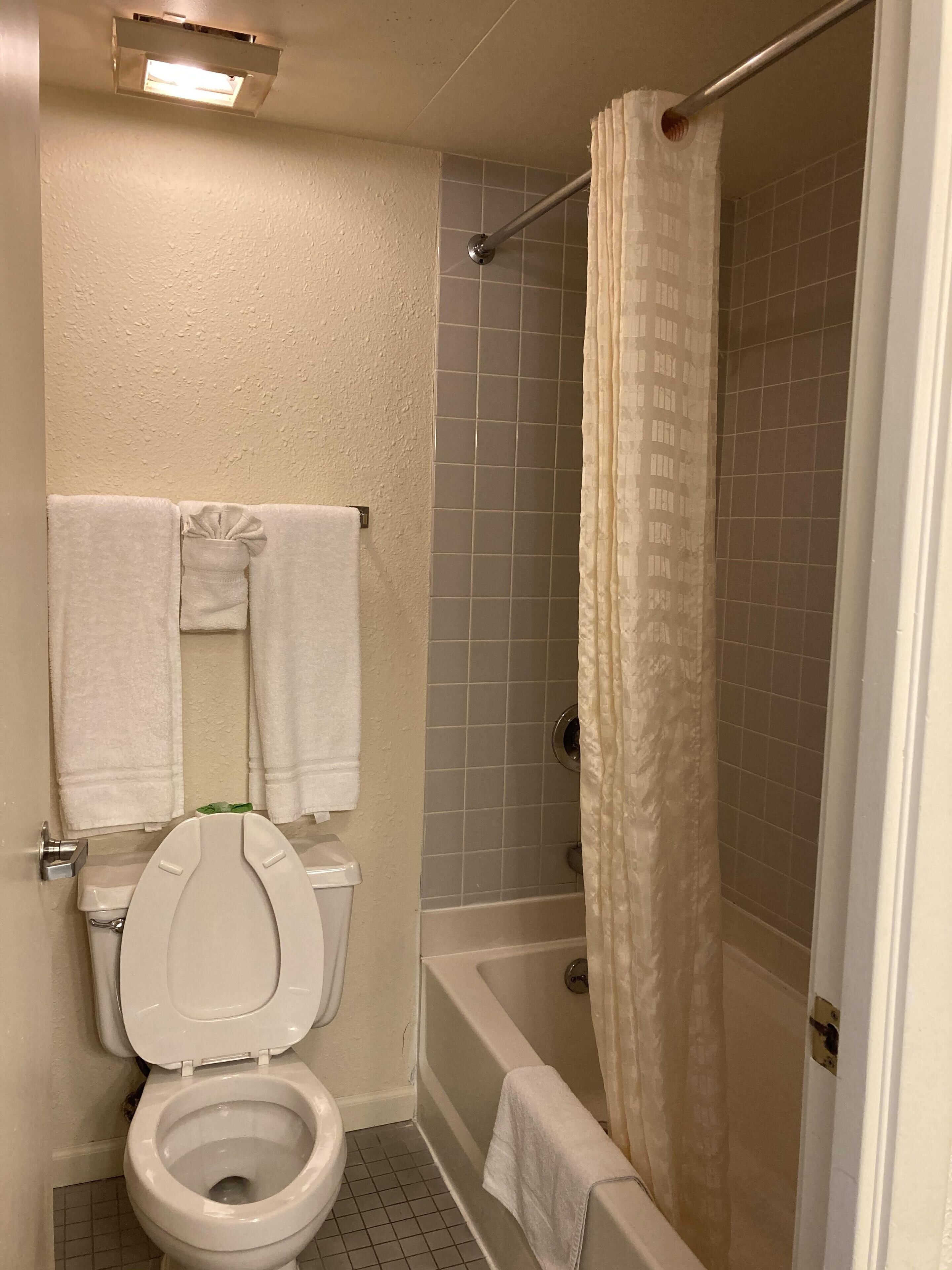 Un bagno con il water, una vasca e una tenda da doccia.