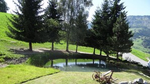 A serene landscape with a pond, trees, and a stone wall with a bicycle. - Les Bernards (Praz-sur-Arly)