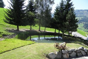 Property grounds - Les Bernards (Praz-sur-Arly)