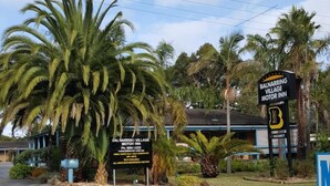 A sign for Balnarring Village Motor Inn with a large palm tree in the foreground. - Balnarring Village Motor Inn (Balnarring)