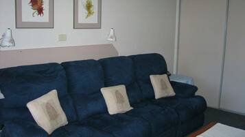 Un sofá azul con tres almohadas, dos láminas botánicas enmarcadas en la pared y una puerta blanca al fondo.
