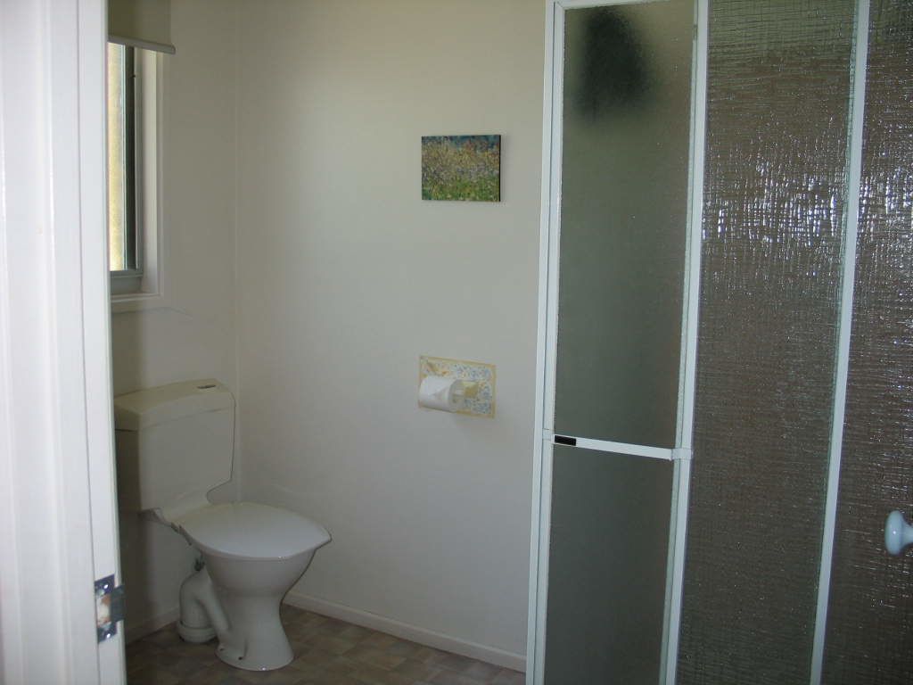 A bathroom with a toilet, a small framed picture on the wall, and a shower door.