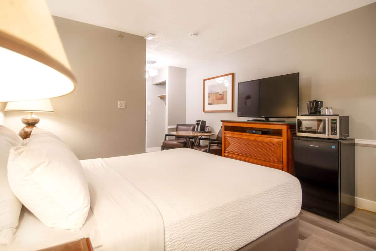 Une chambre d’hôtel équipée d’un lit, d’un bureau avec une chaise, d’une télévision, d’un four à micro-ondes et d’un réfrigérateur.
