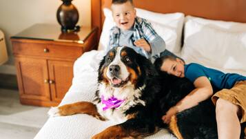 Pet-friendly