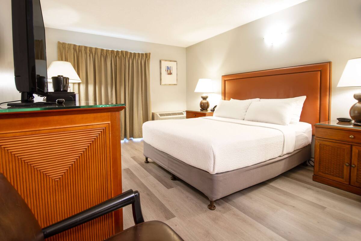 Une chambre d’hôtel comprenant un lit, un bureau avec une télévision, une chaise et une table de chevet avec une lampe.