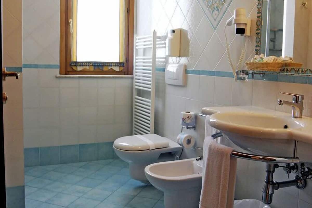 shower, free toiletries, hair dryer, bidet