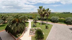 Ein angelegter Garten mit Palmen, einem gepflasterten Weg und Blick auf entfernte Gebäude.