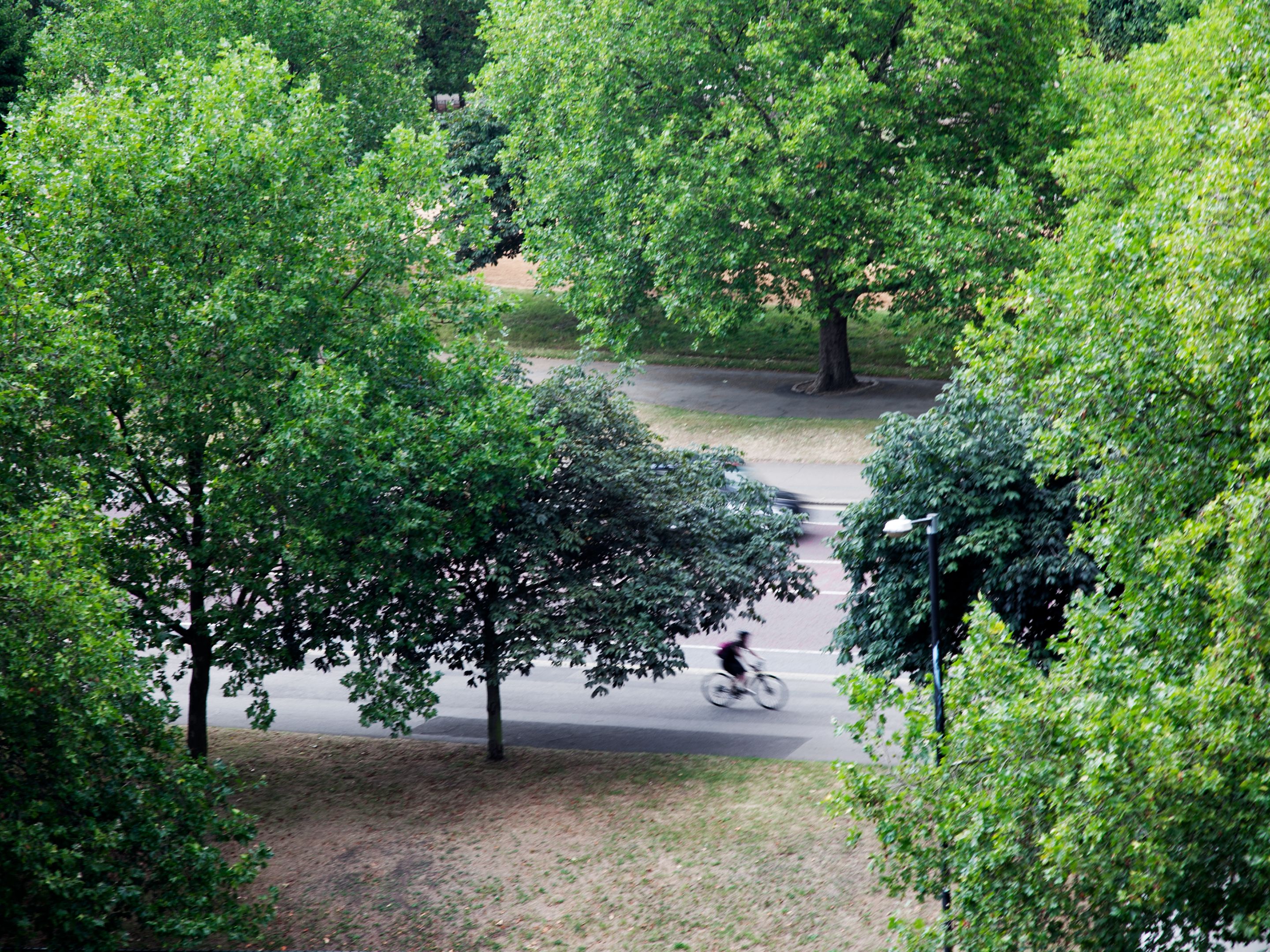 Photo - The Wellesley, a Luxury Collection Hotel, Knightsbridge, London