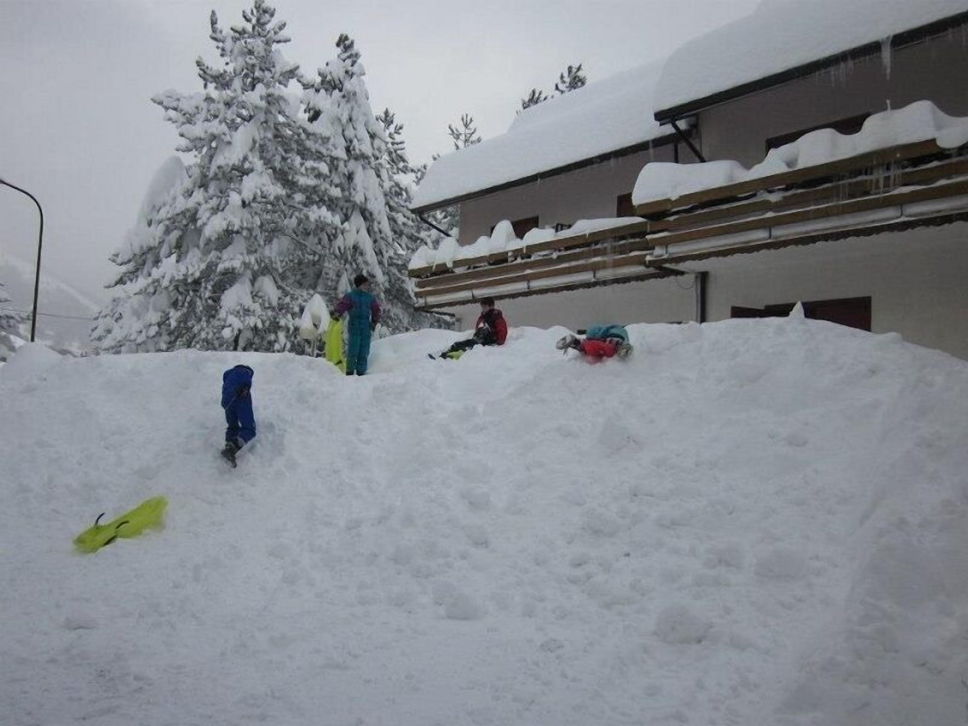 A snowy outdoor area with a large pile of snow, a tree, and a building in the background.