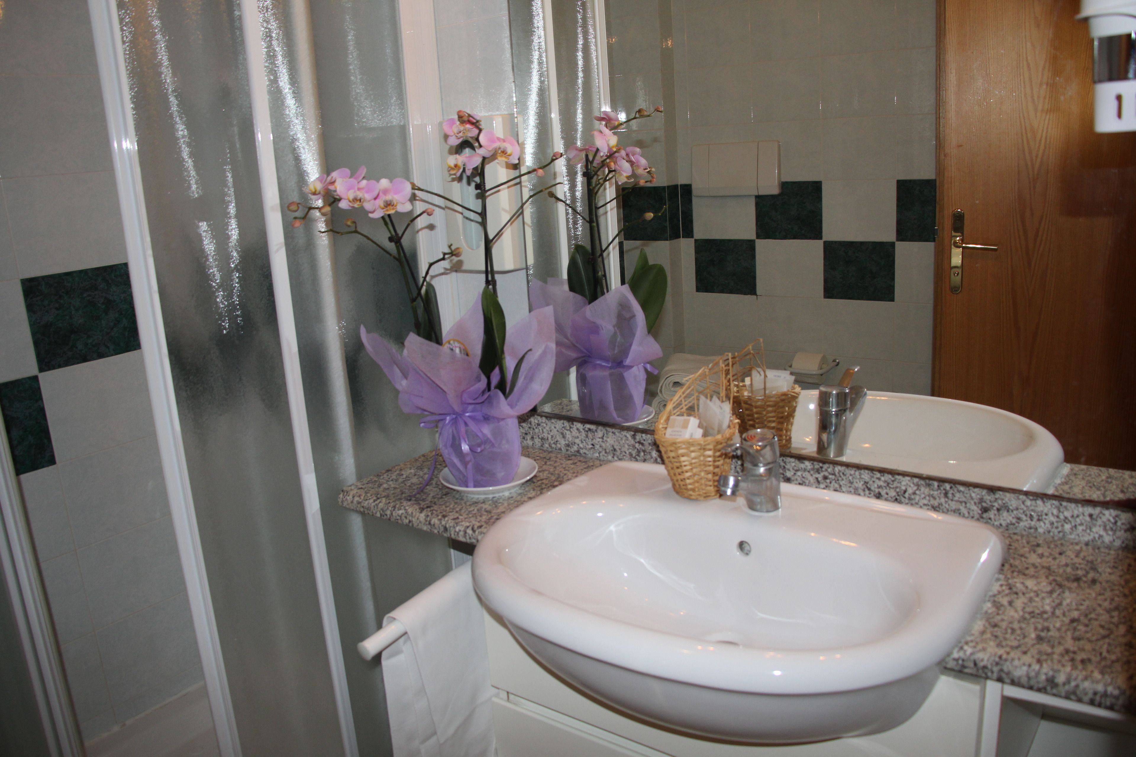 shower, free toiletries, hair dryer, bidet