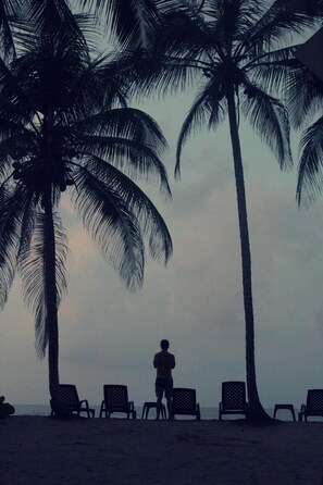 A beach scene with palm trees and beach chairs. - Tayrona Tented Lodge (Santa Marta)