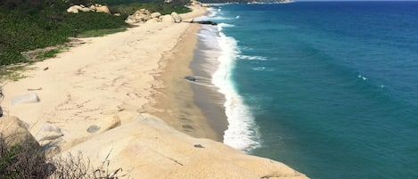 En la playa, playa de arena blanca y camastros 