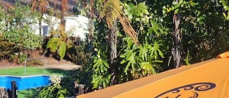 屋外プール、プール パラソル、サンラウンジャー