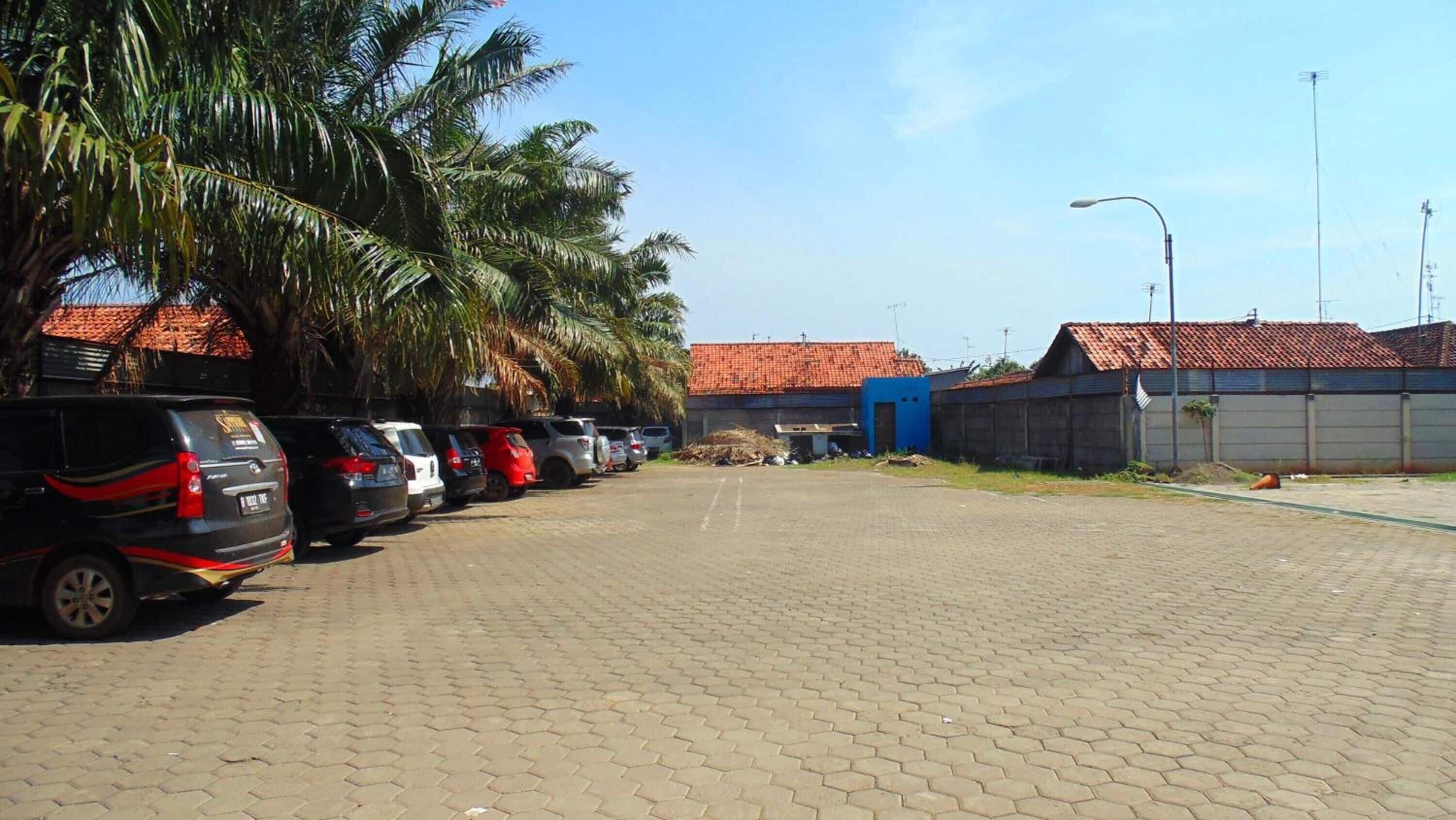 A parking lot with several cars, a blue building, and palm trees.