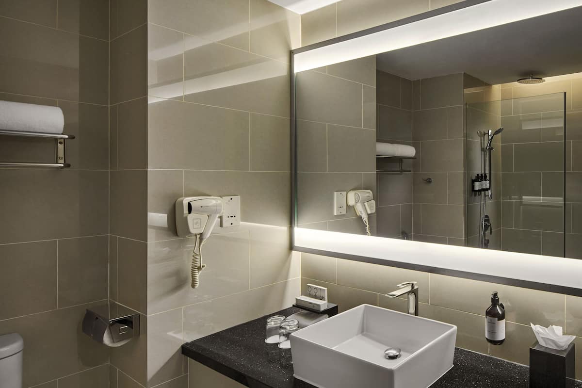 shower, rainfall showerhead, free toiletries, hair dryer