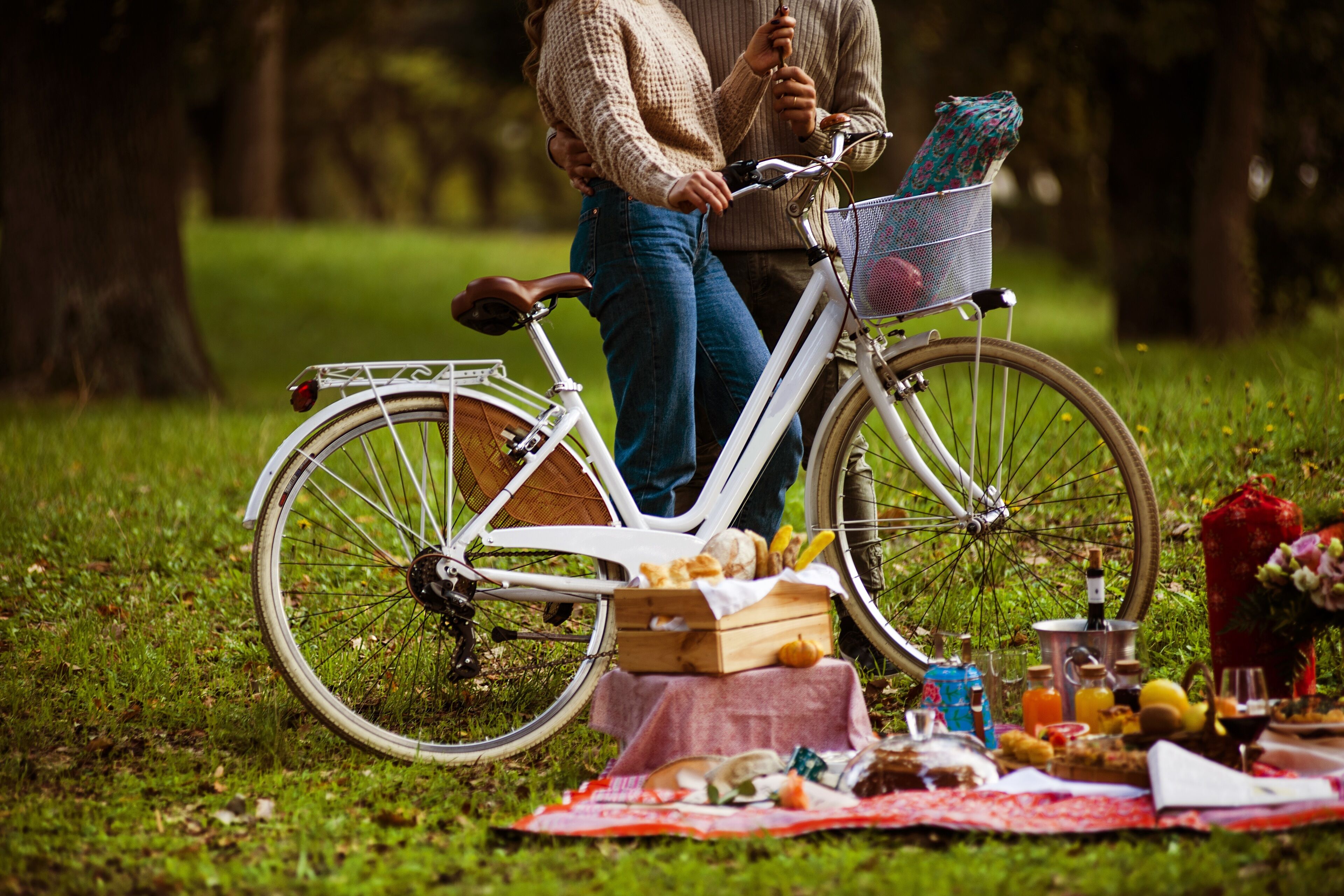 Un coin pique-nique aménagé avec un vélo, un panier de pique-nique et des aliments disposés sur une couverture dans un espace herbeux.