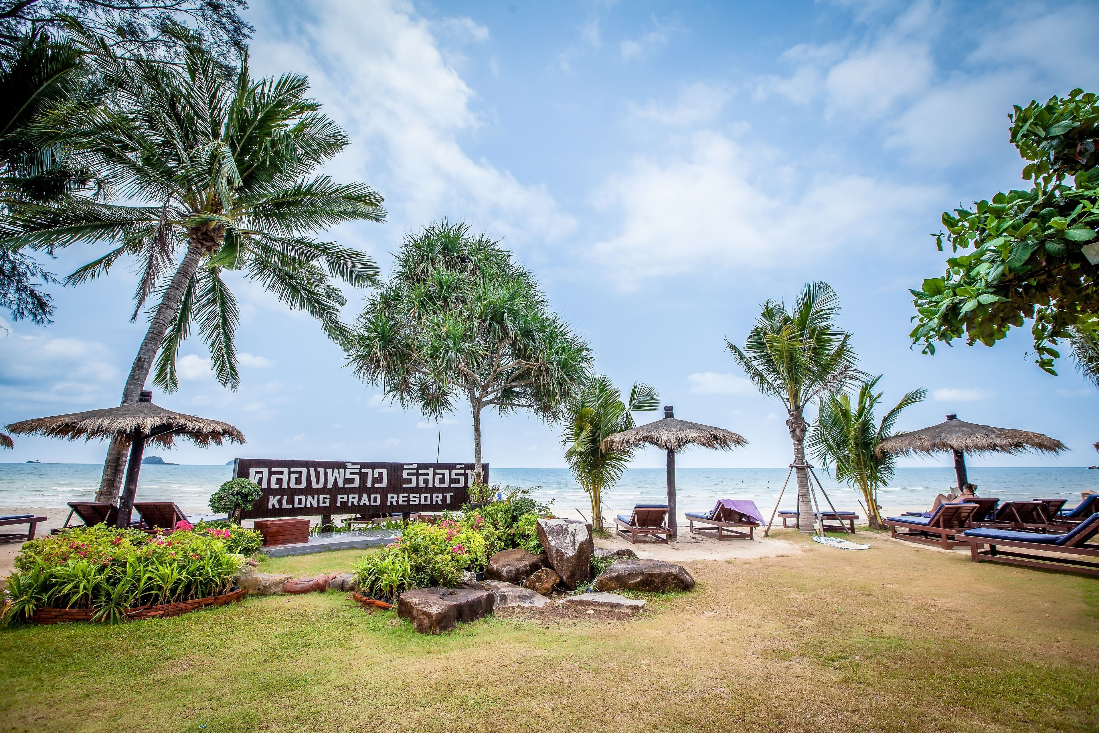 A beach resort with palm trees, lounge chairs, and a sign in a foreign language.