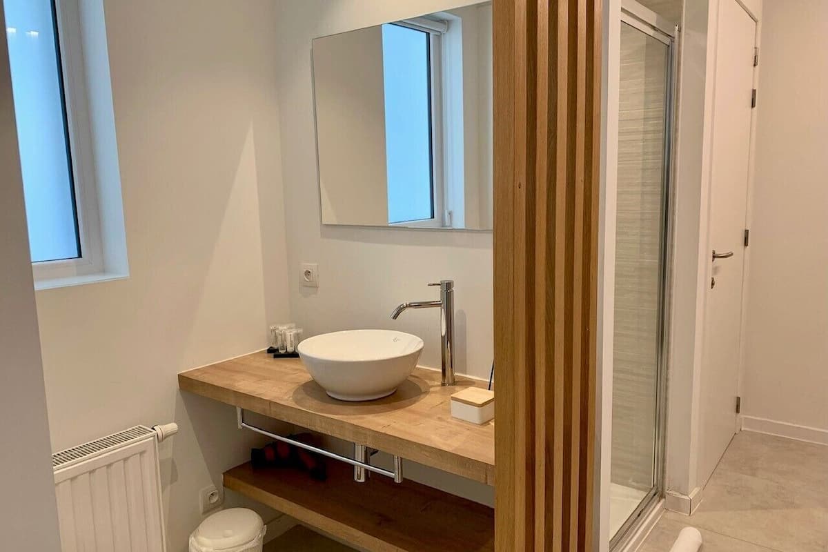 deluxe apartment, 1 king bed | bathroom | shower, free toiletries, hair dryer, bathrobes