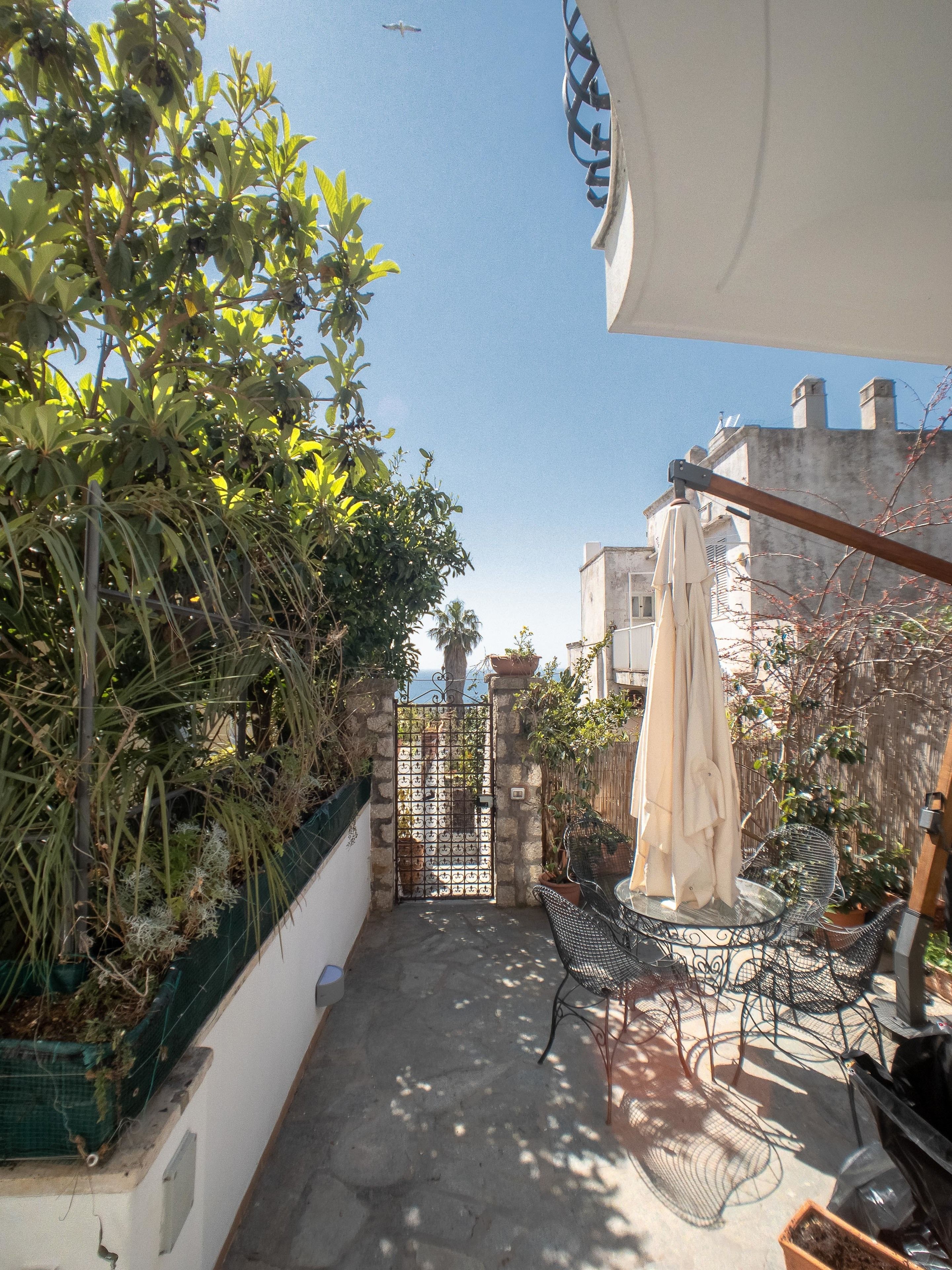 A courtyard with a gate, potted plants, outdoor furniture, and a clear sky.