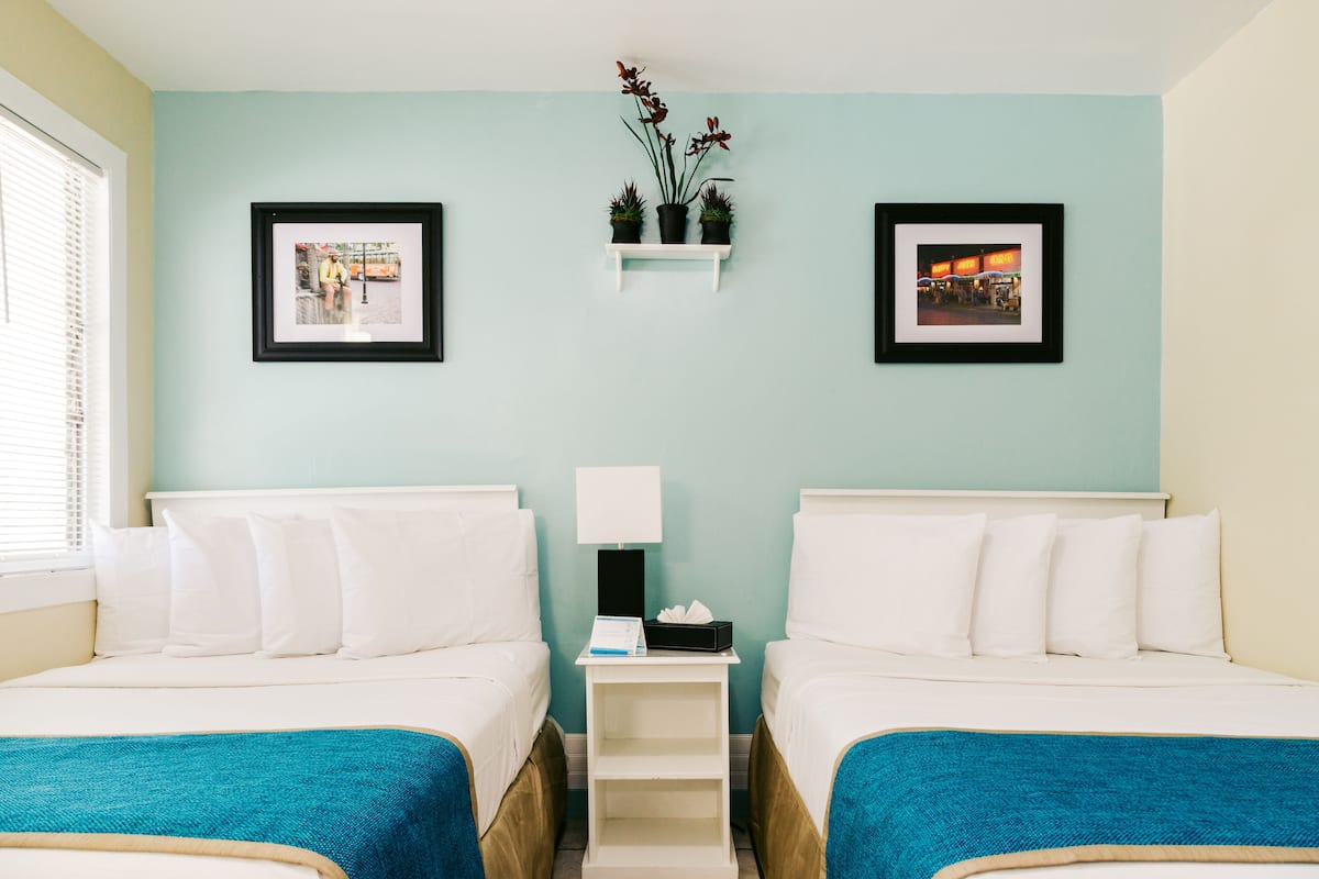 A hotel room with two beds, a small bedside table with a lamp, and a shelf with potted plants.