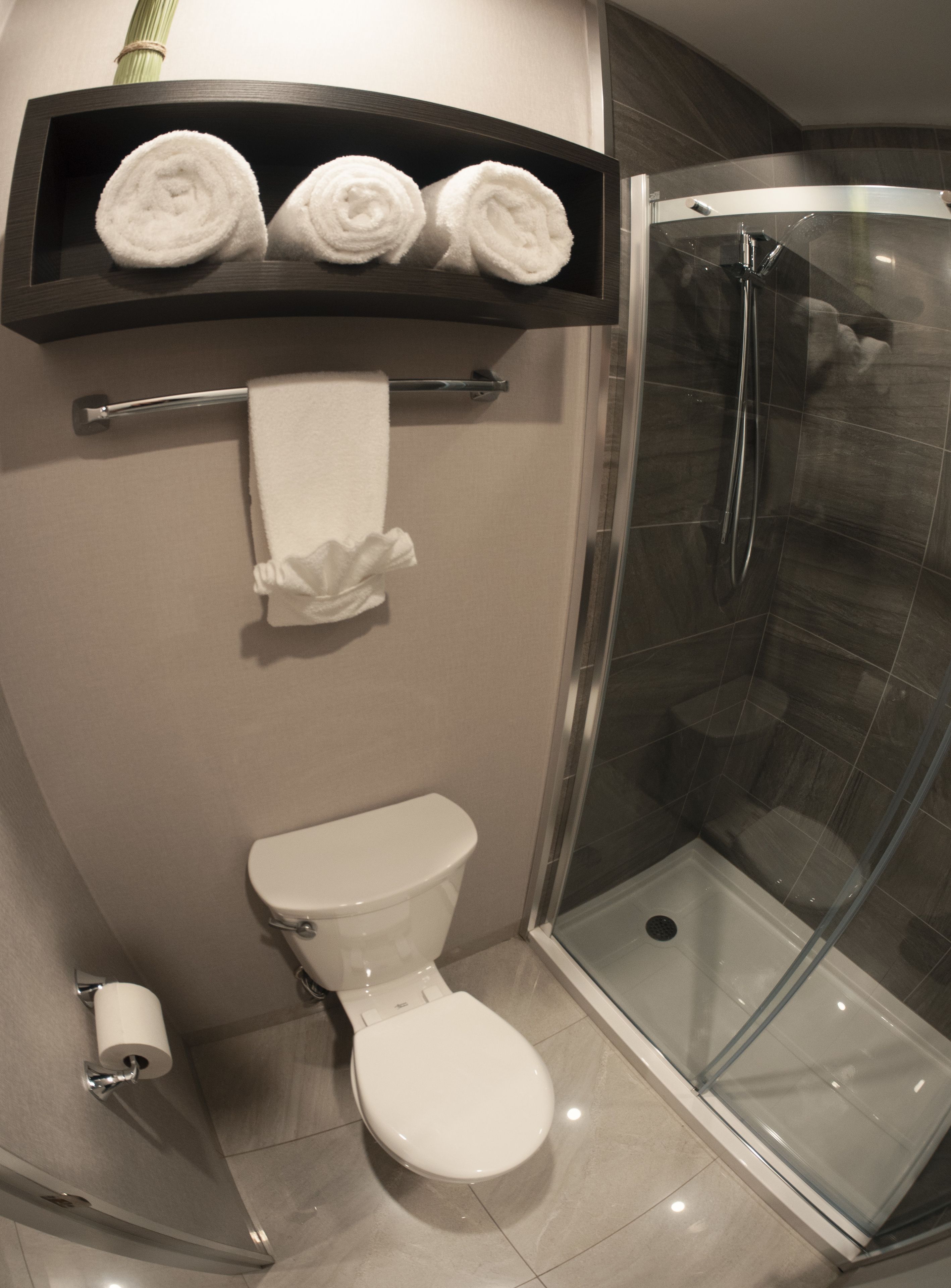 hair dryer, towels, shampoo