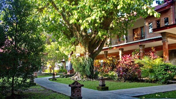 A garden pathway with a large tree, a birdhouse, and a building with a balcony.