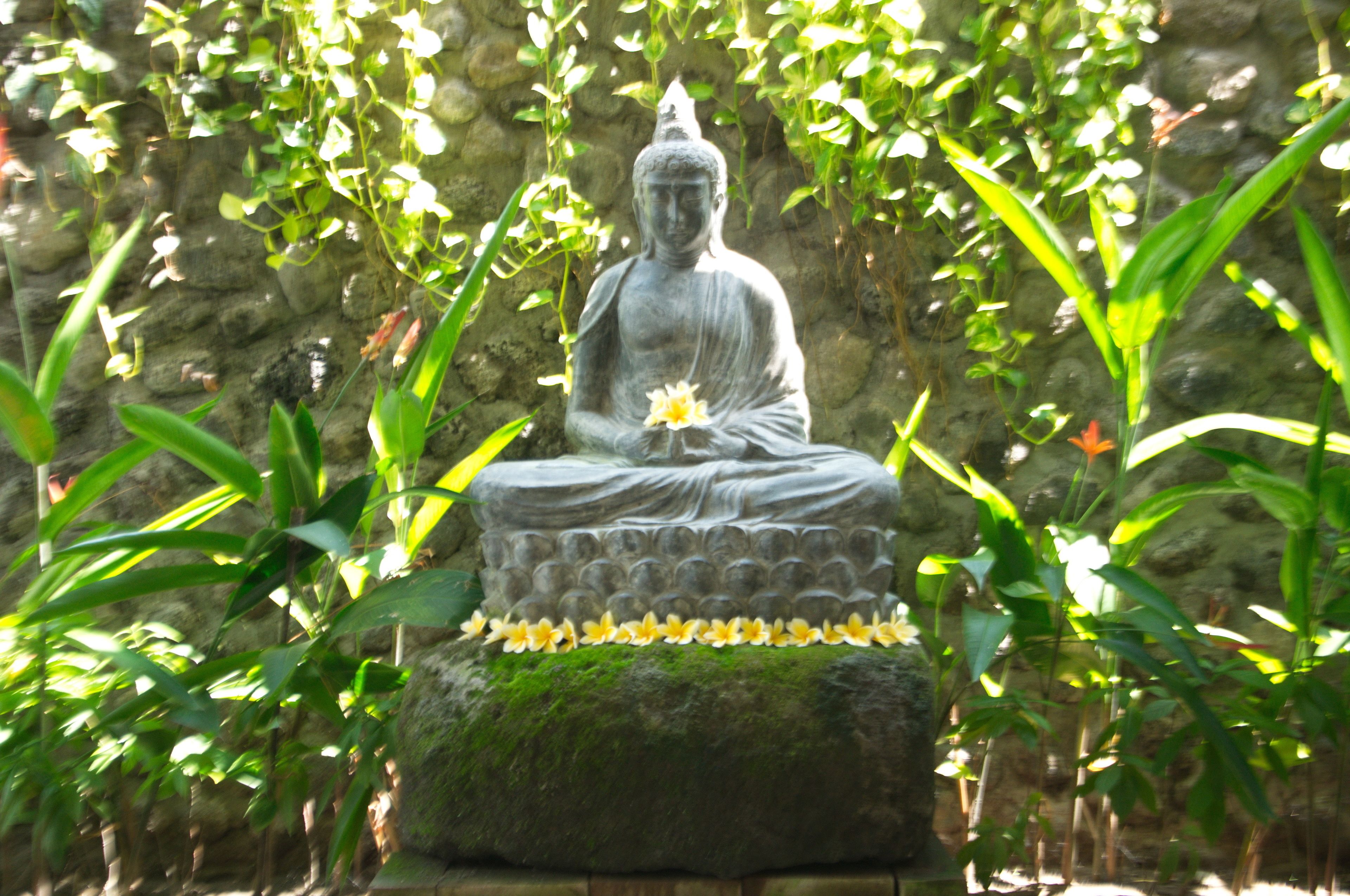 Photo - Puri Pangeran Hotel