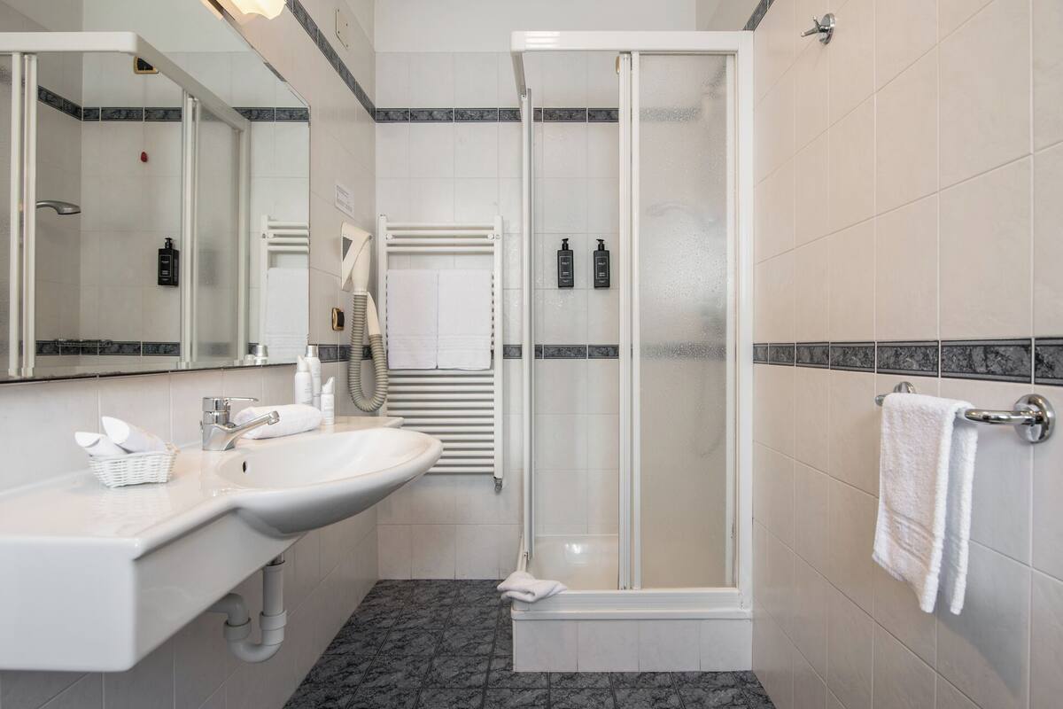 panoramic double or twin room | bathroom | shower, hair dryer, bidet, towels