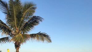 A beach with palm trees, a clear sky, and a distant island. - Praia Linda (Rio de Janeiro)