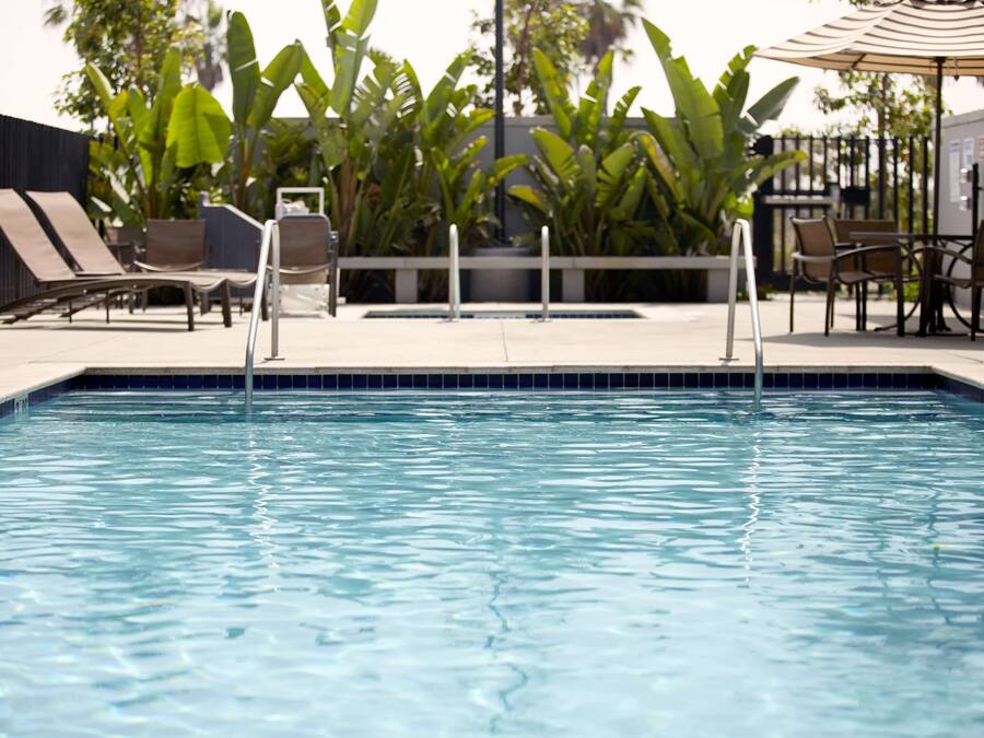 Une piscine entourée de verdure, avec des chaises longues et des parasols.