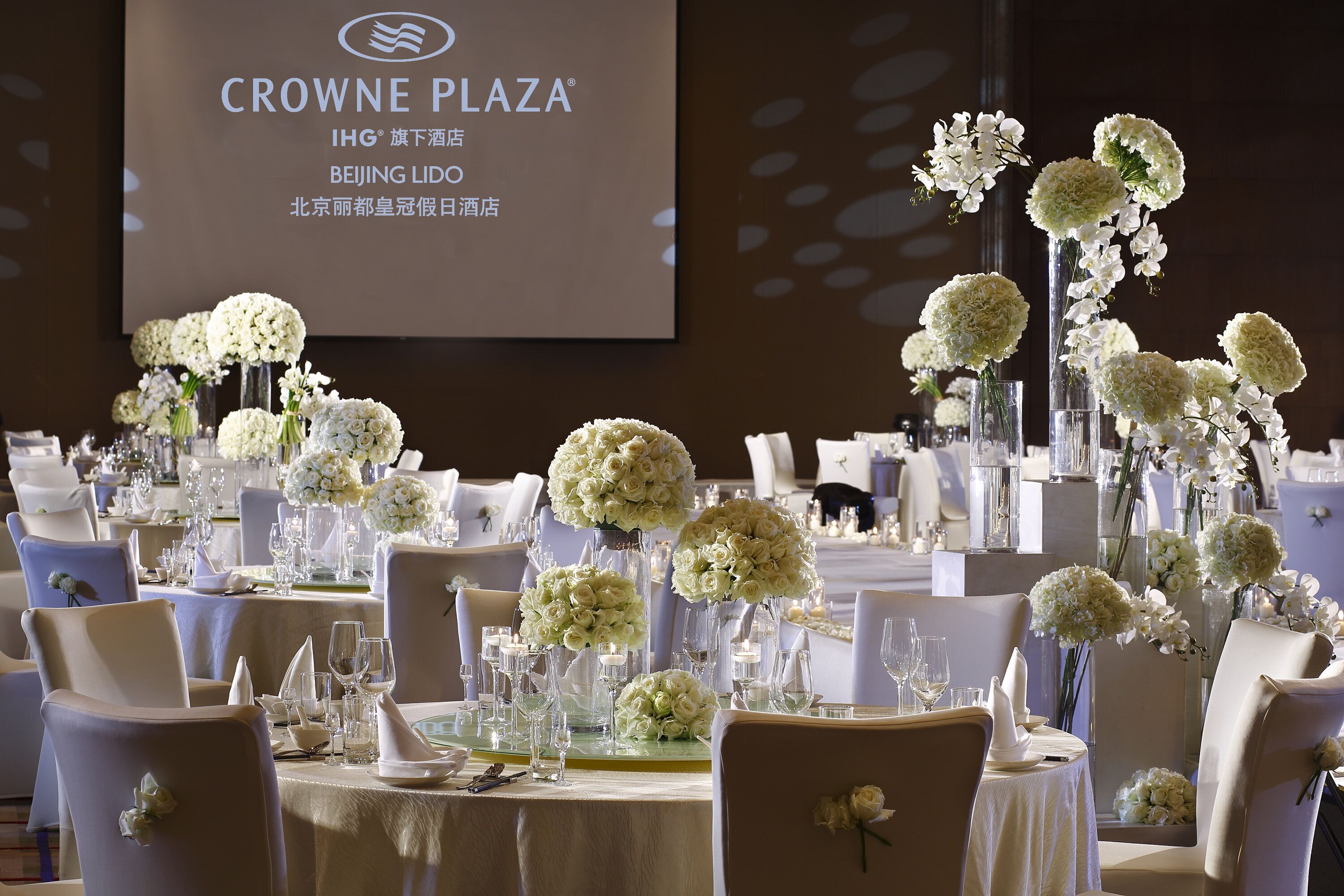 Un salón de banquetes con mesas redondas dispuestas para un evento formal, con centros de mesa florales blancos y elegantes vajillas.