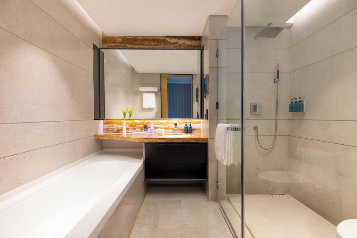 Separate tub and shower, hair dryer, bathrobes, slippers
