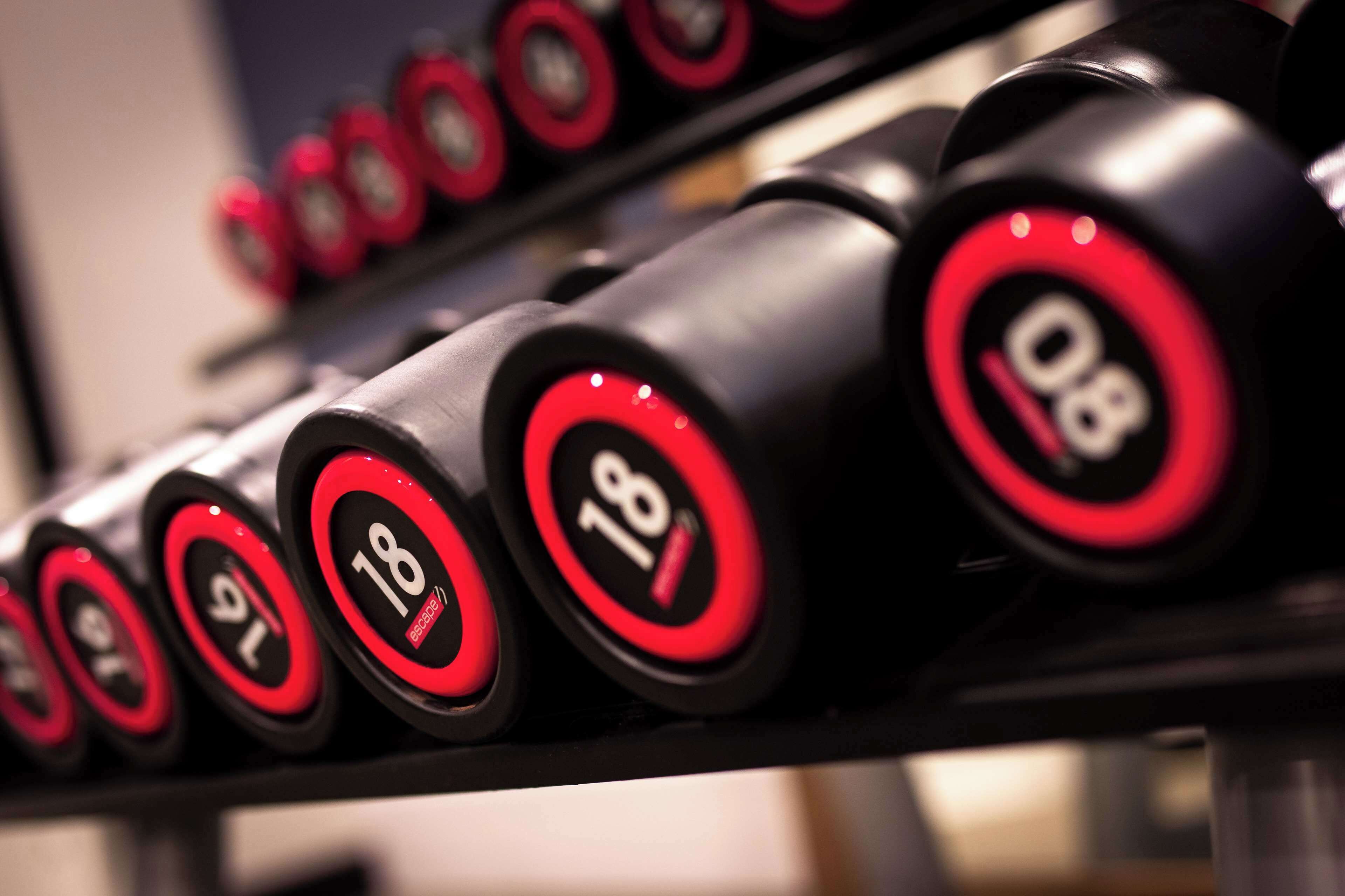 A row of dumbbells with red and black color scheme, each labeled with a weight.