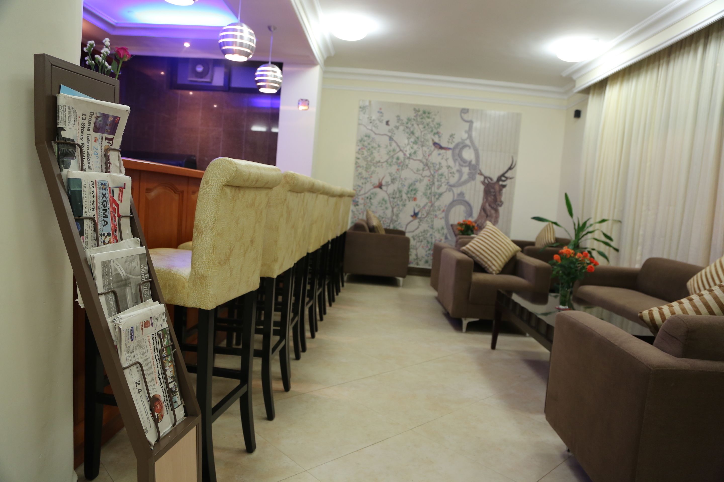 Foto - caravan Hotel Addis