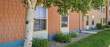 A row of brick buildings with a tree in front.