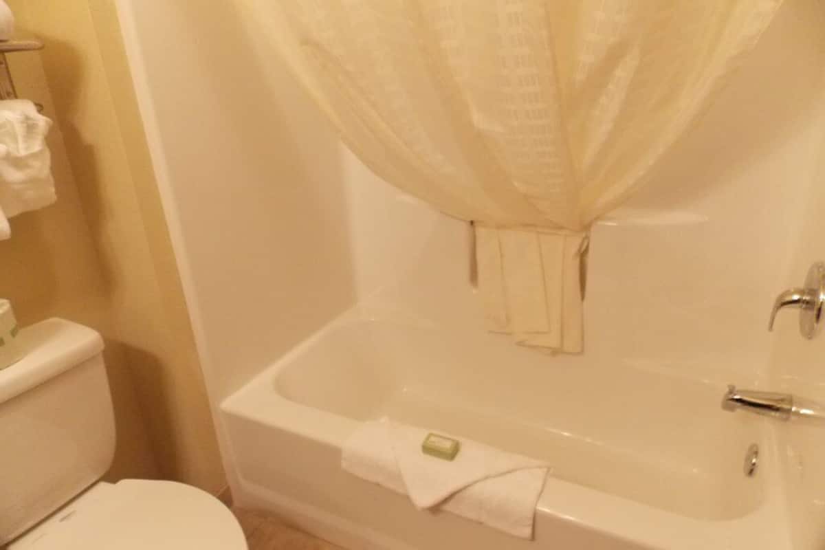 combined shower/bathtub, free toiletries, hair dryer, towels