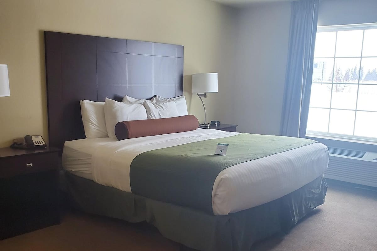 deluxe room, 1 king bed, non smoking | premium bedding, in-room safe, desk, laptop workspace