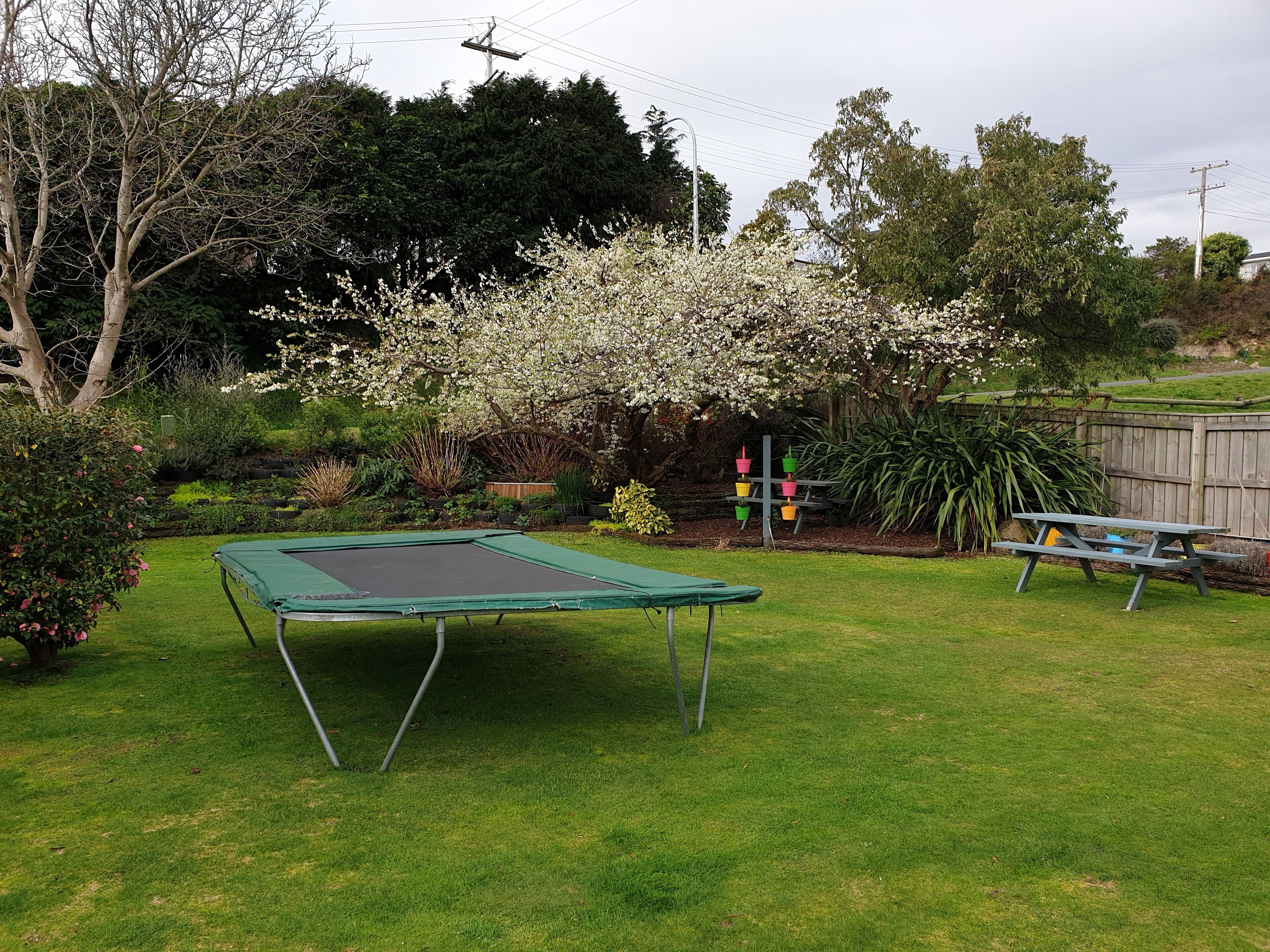 En have med trampolin, picnicbord og blomstrende træer.