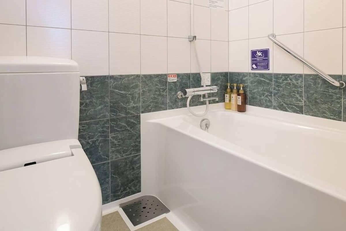 combined shower/bathtub, free toiletries, hair dryer, slippers